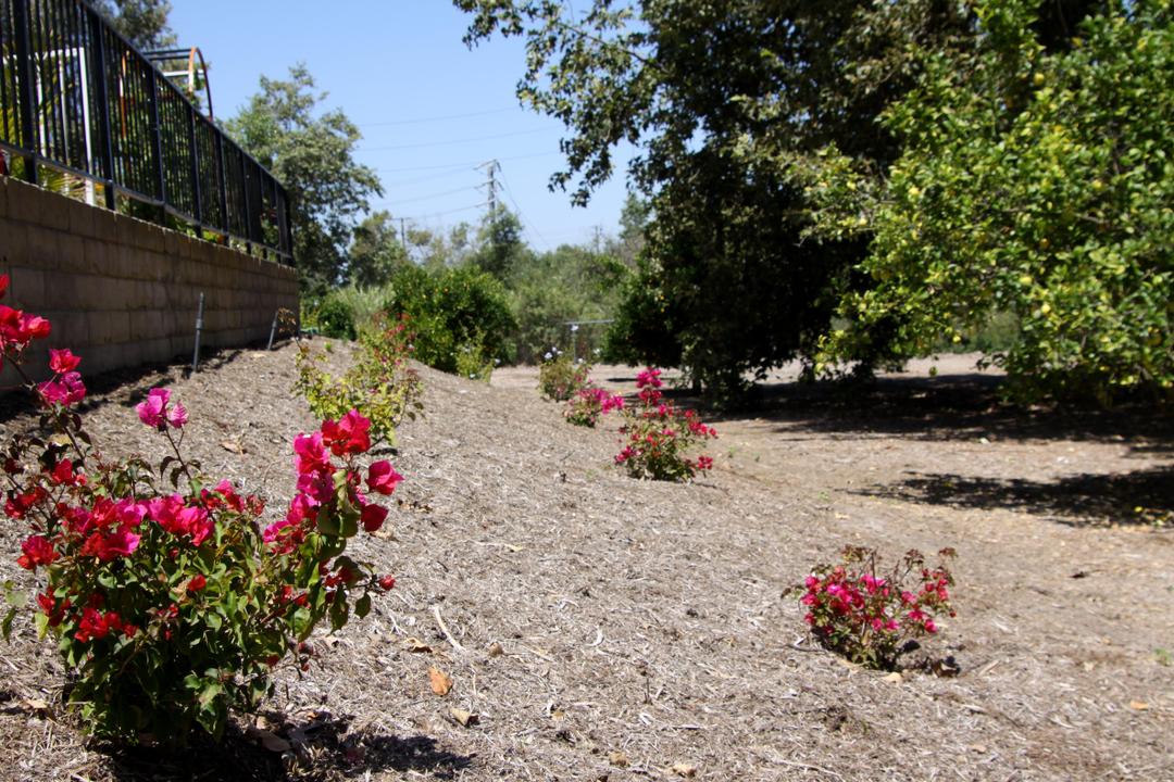 Work Image
