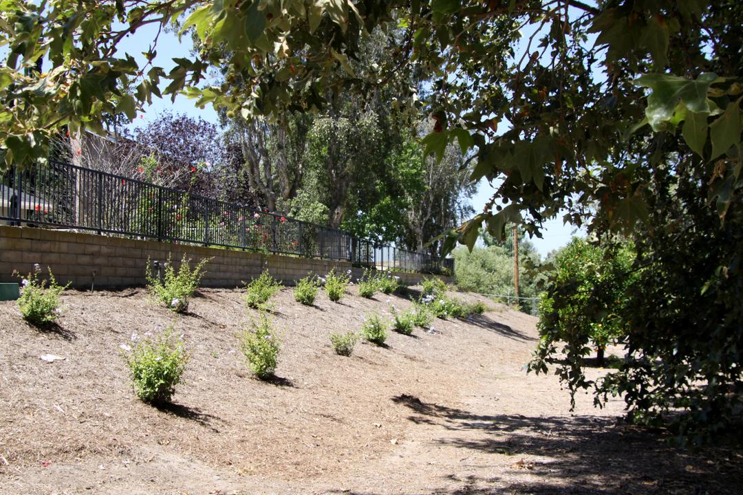 Work Image