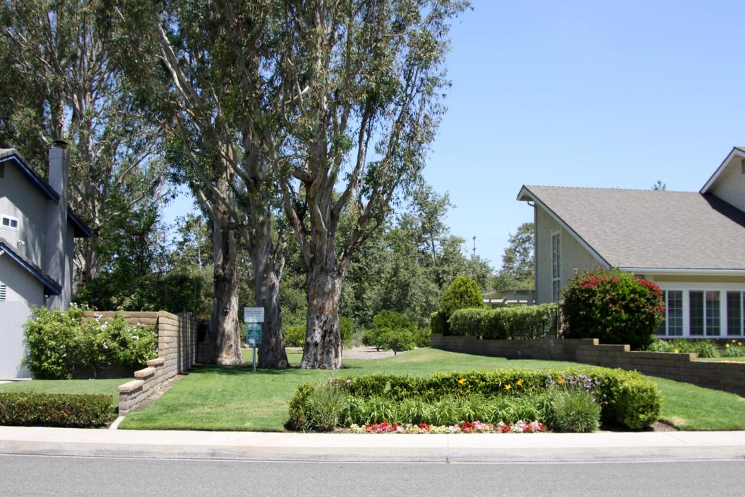 Work Image