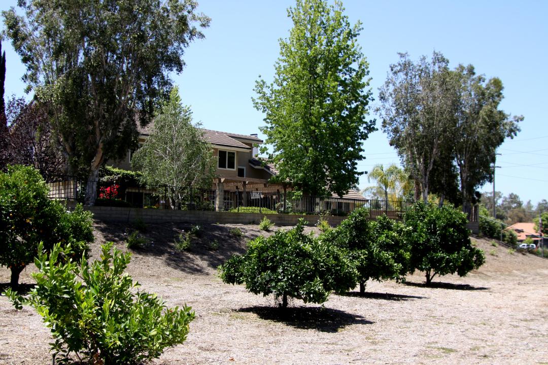 Work Image