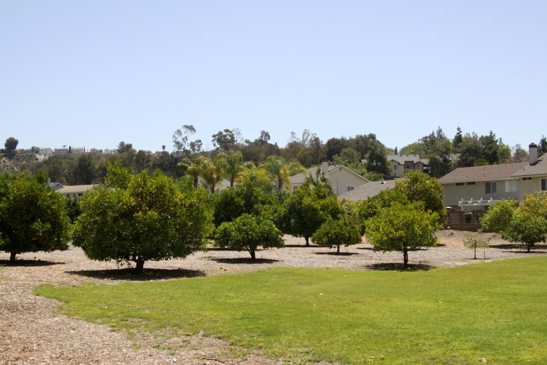 Work Image